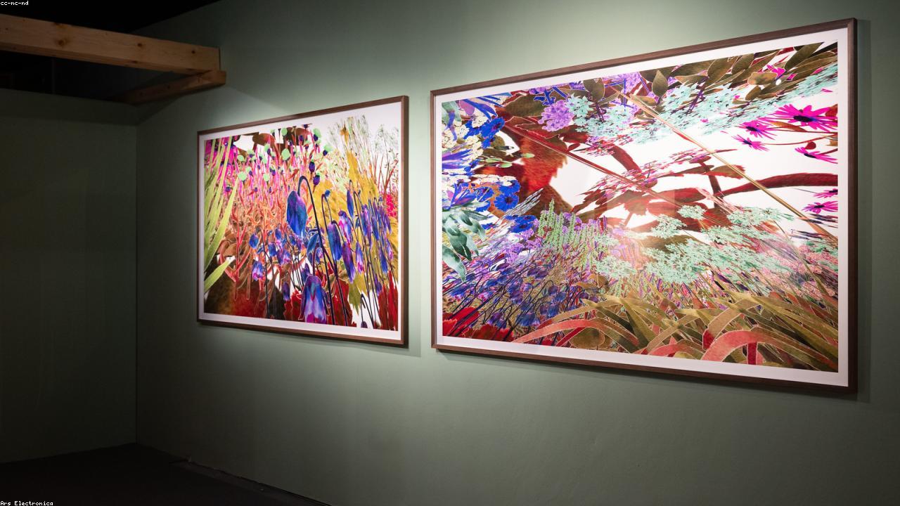 前沿技术与新媒体场景参考图（图片来自 Flickr Creative Commons / LoremFlickr）