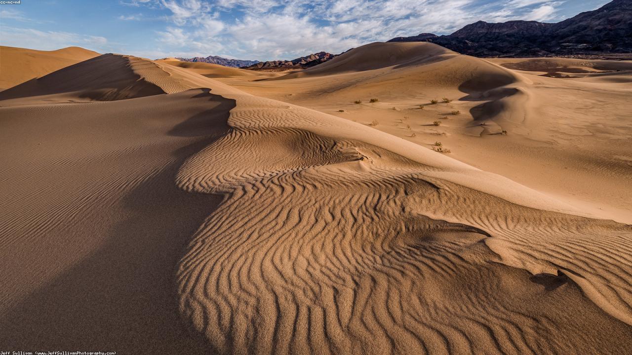 培训课堂与实操训练场景参考图（图片来自 Flickr Creative Commons / LoremFlickr）